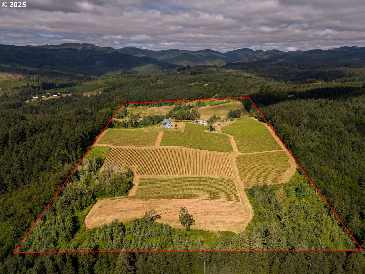 https://bt-photos.global.ssl.fastly.net/portland/1280_boomver_2_485624772-2.jpg
