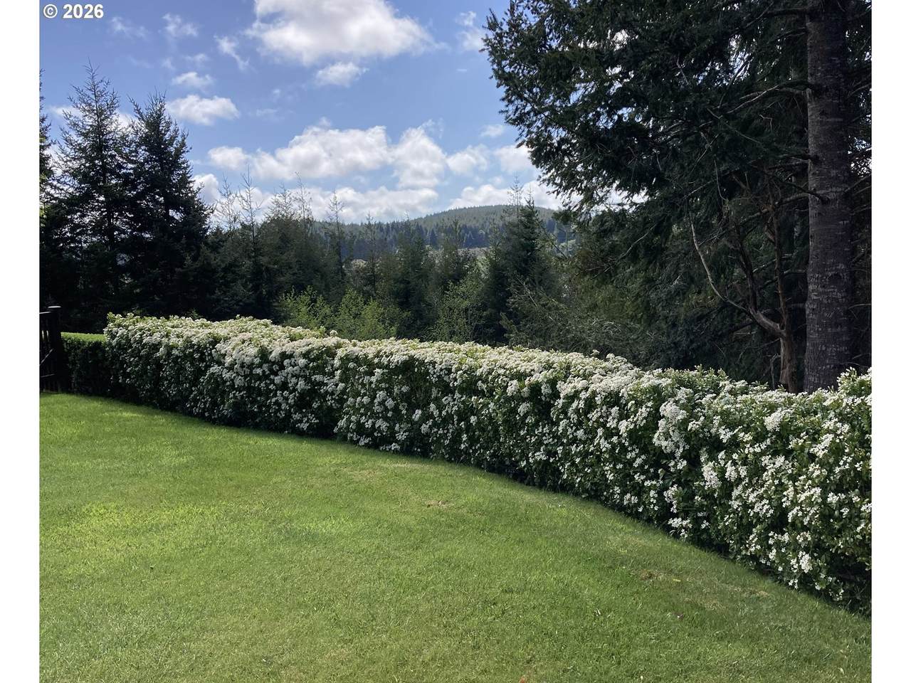 https://bt-photos.global.ssl.fastly.net/portland/1280_boomver_1_495727842-2.jpg