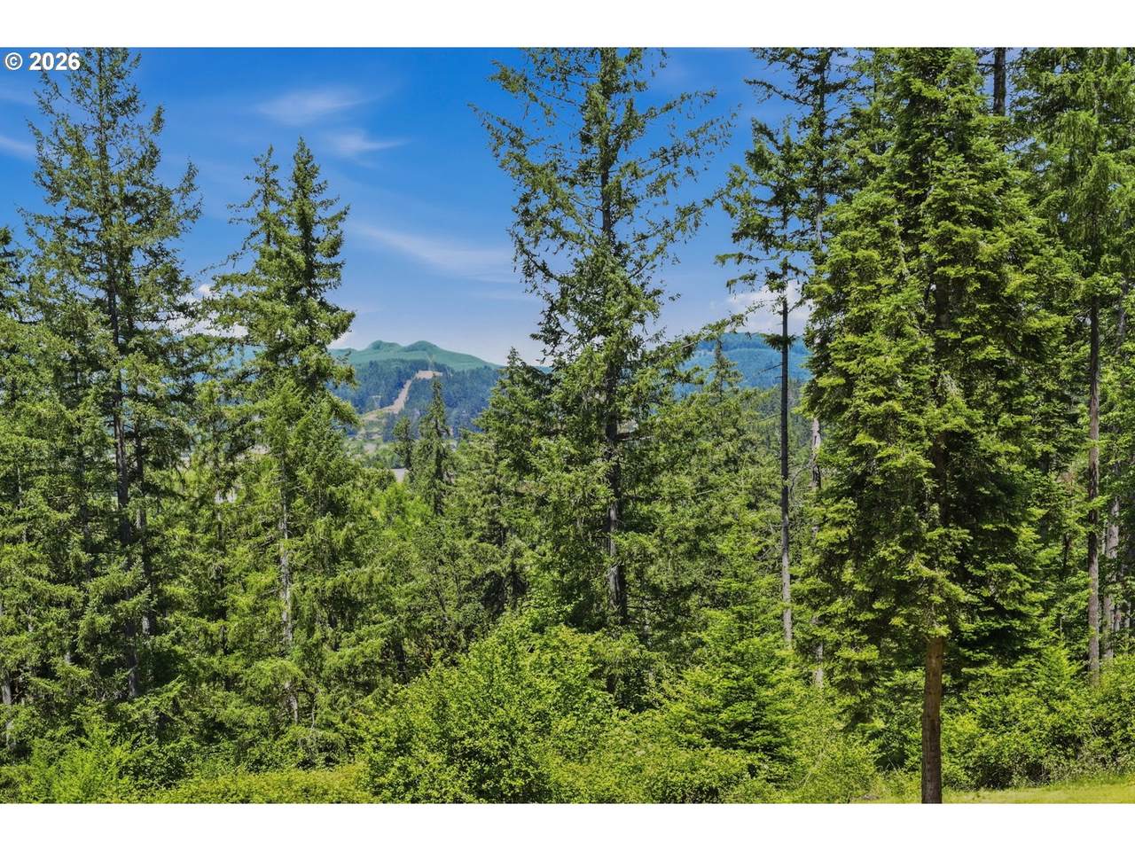 https://bt-photos.global.ssl.fastly.net/portland/1280_boomver_2_500947373-2.jpg