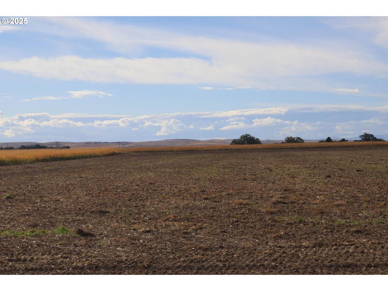 4465 Oak Rd - Photo 1