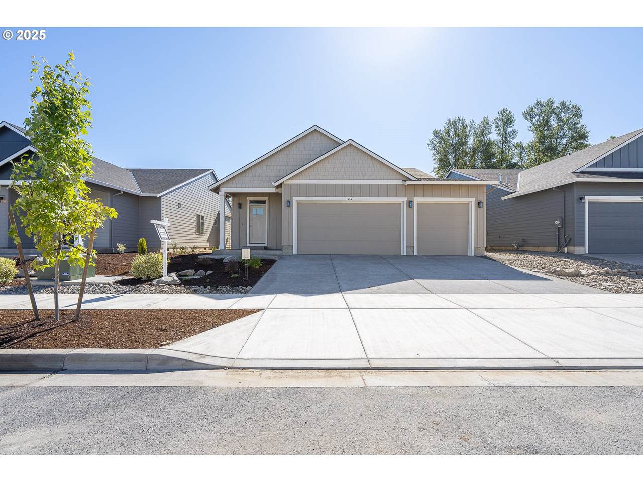 714 Tigerlily St - Photo 1