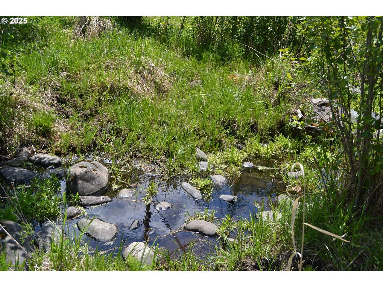  Chief Joseph Way - Photo 1