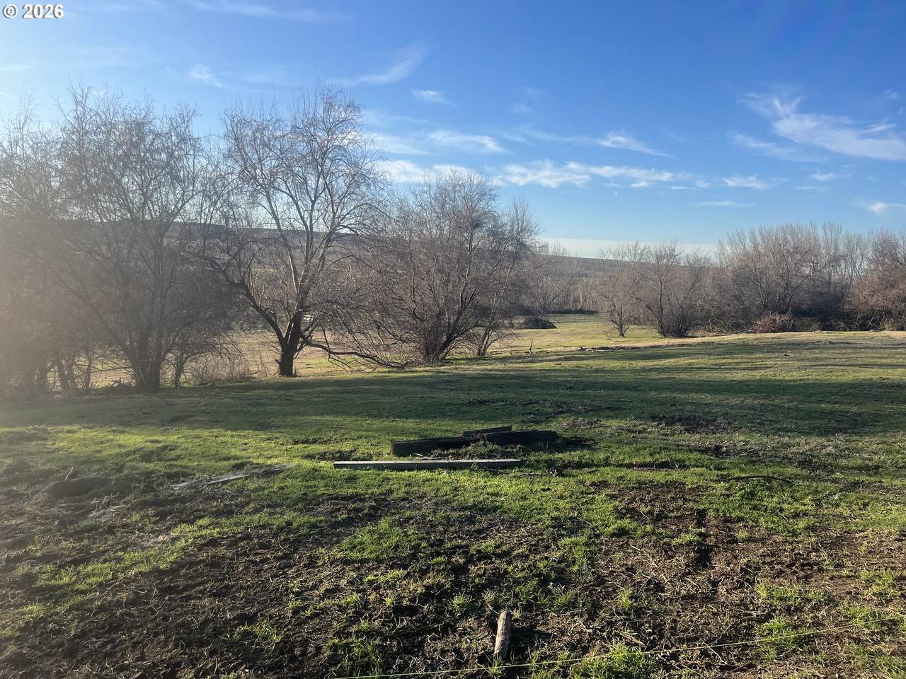 000 Cooney Ln (Parcel 2) Ln - Photo 1