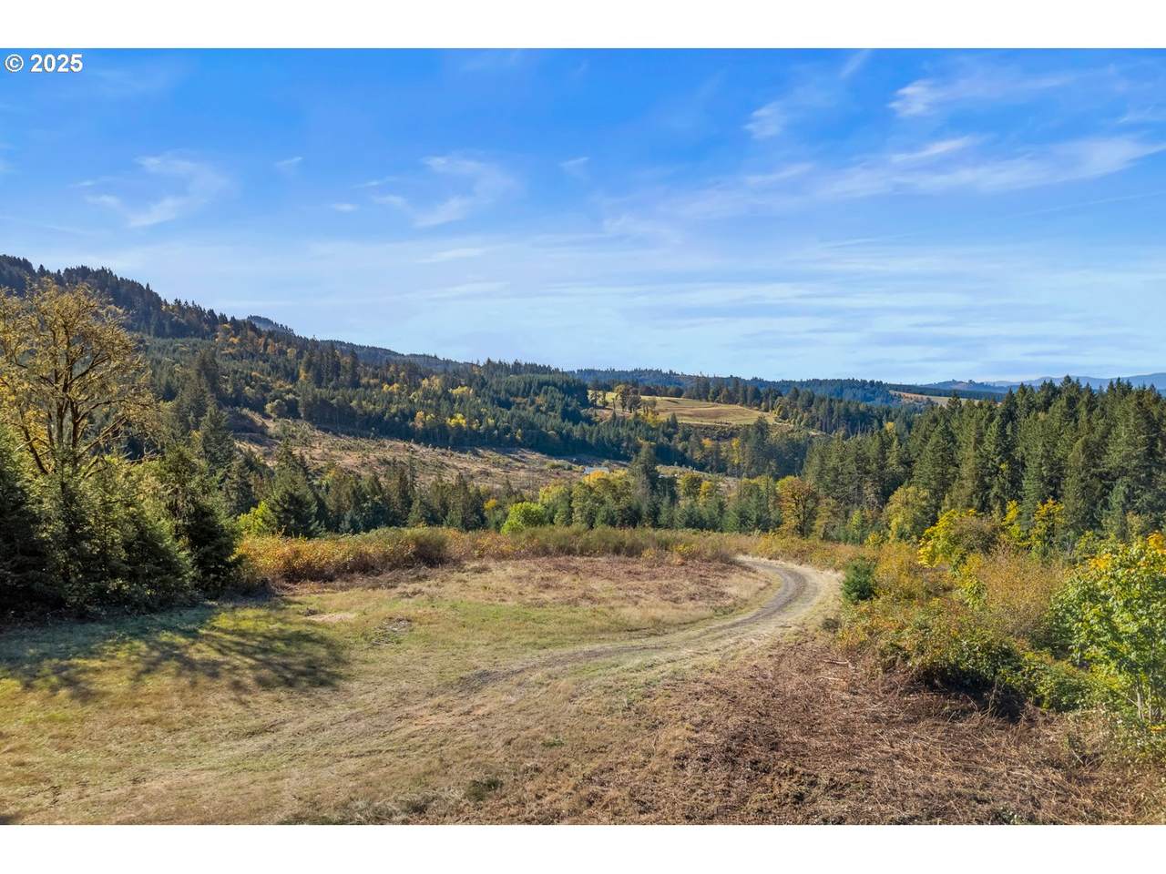 37251 Thimbleberry Dr - Photo 1