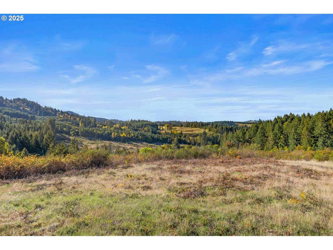 https://bt-photos.global.ssl.fastly.net/portland/1280_boomver_2_587800760-2.jpg
