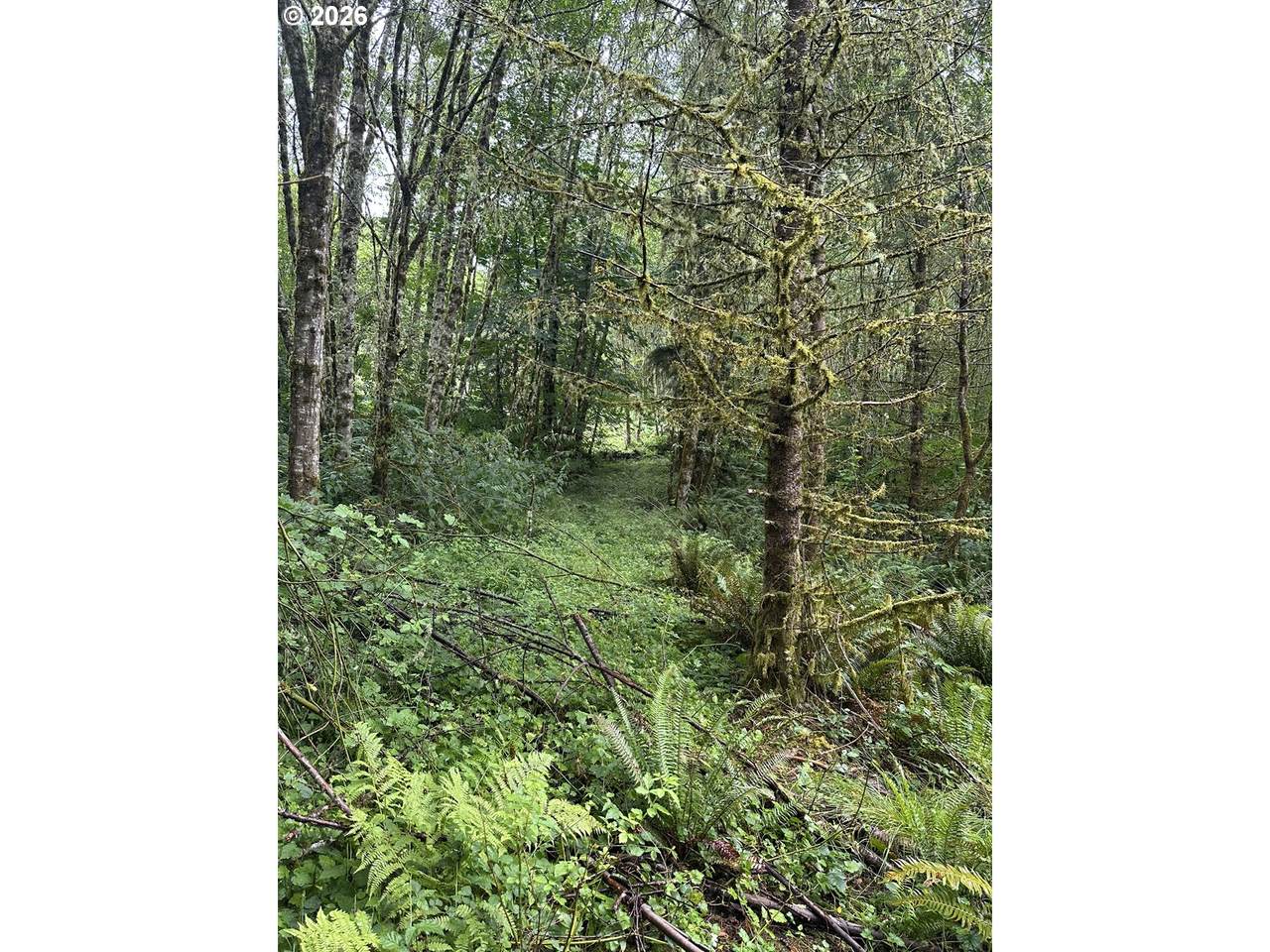 458 Ravenwood Rd - Photo 1