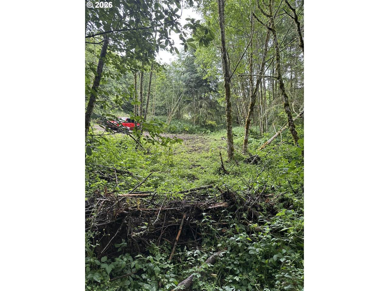 https://bt-photos.global.ssl.fastly.net/portland/1280_boomver_2_588886230-2.jpg
