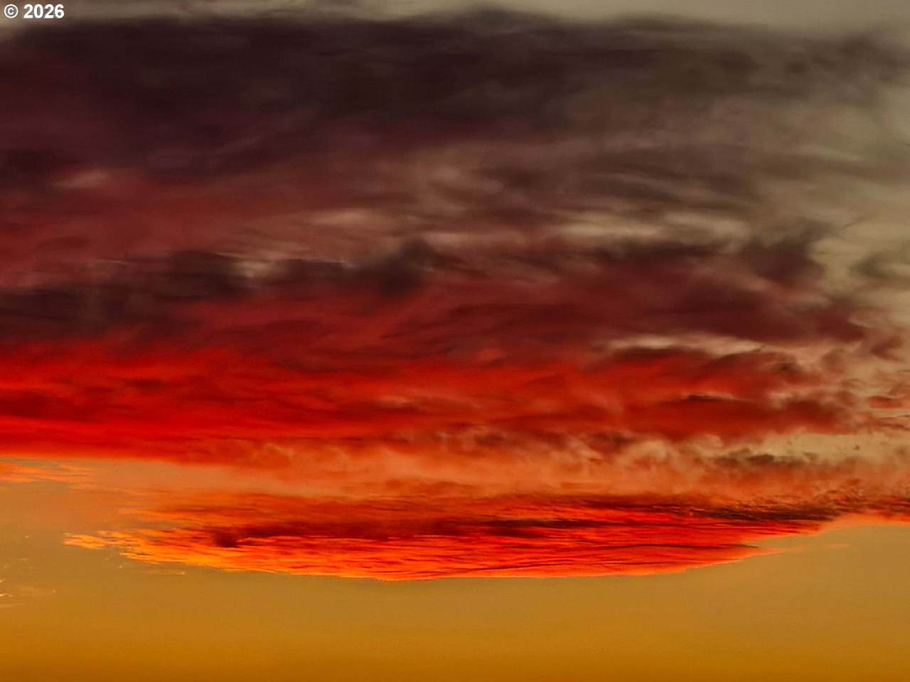 https://bt-photos.global.ssl.fastly.net/portland/1280_boomver_2_598151918-2.jpg