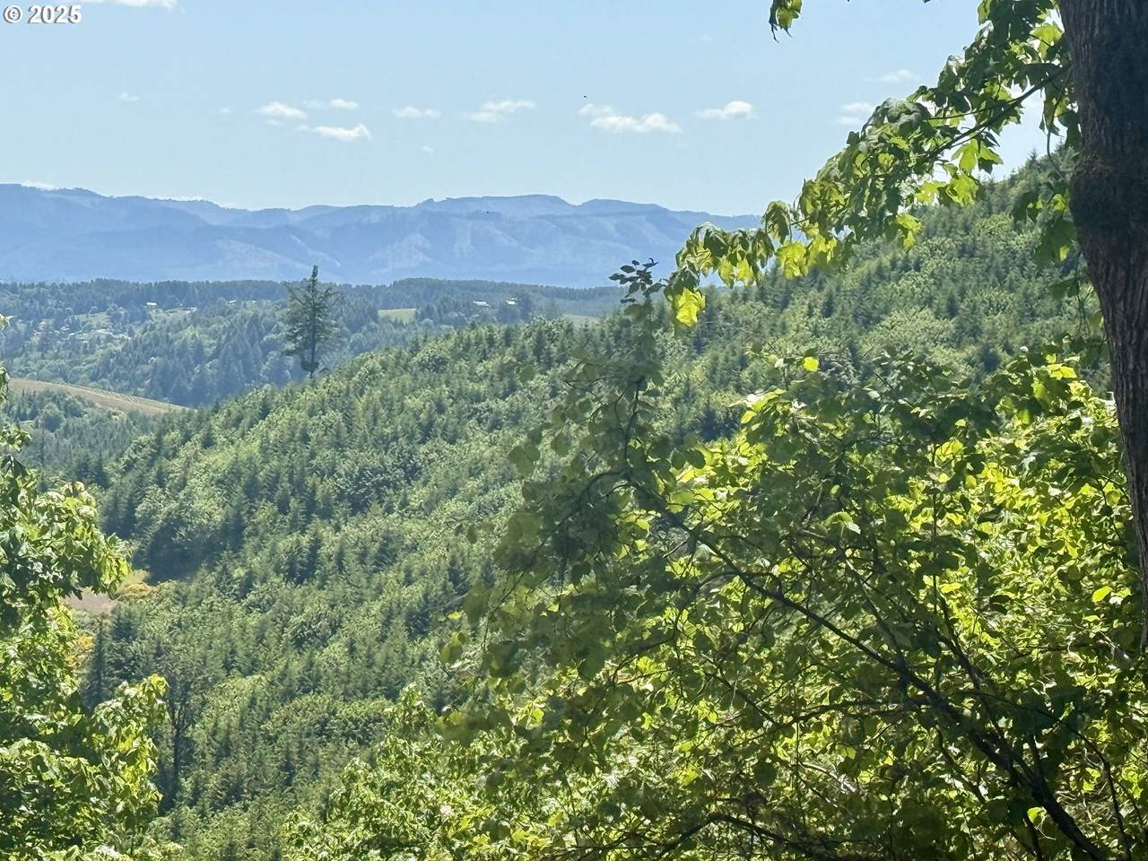 https://bt-photos.global.ssl.fastly.net/portland/1280_boomver_3_598543202-2.jpg