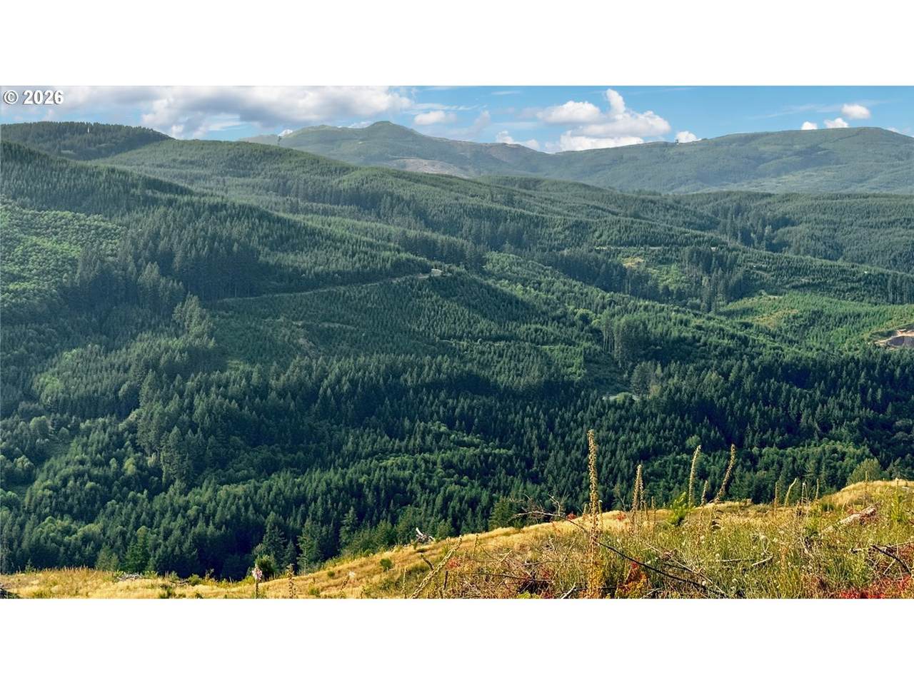 3727 Little Kalama River Rd - Photo 1