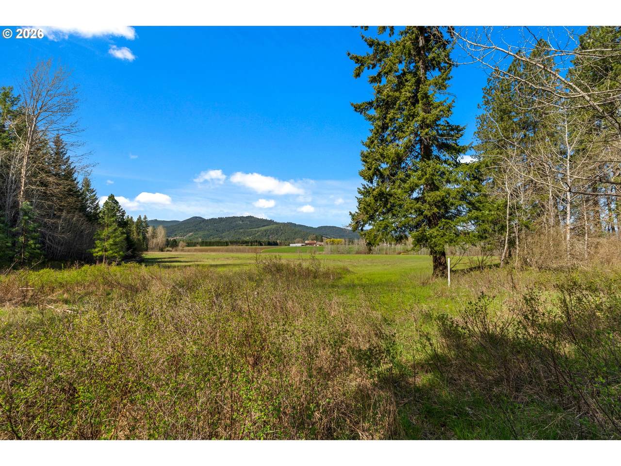  Stoller Rd - Photo 1