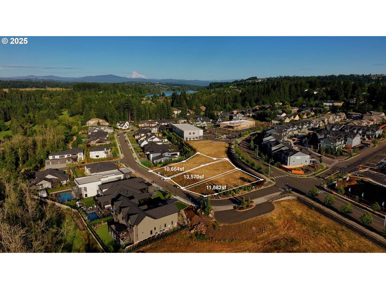 3601 Camas Meadows Dr - Photo 1