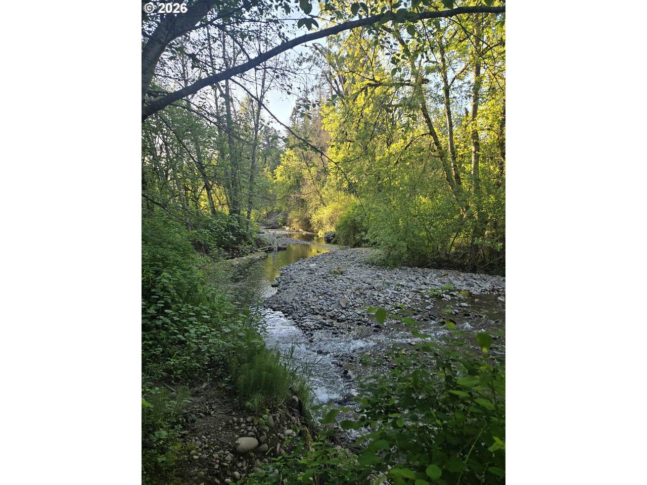 https://bt-photos.global.ssl.fastly.net/portland/1280_boomver_2_654777532-2.jpg