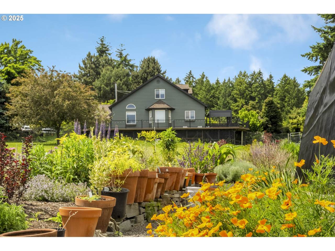 10623 Fox Farm Rd - Photo 1