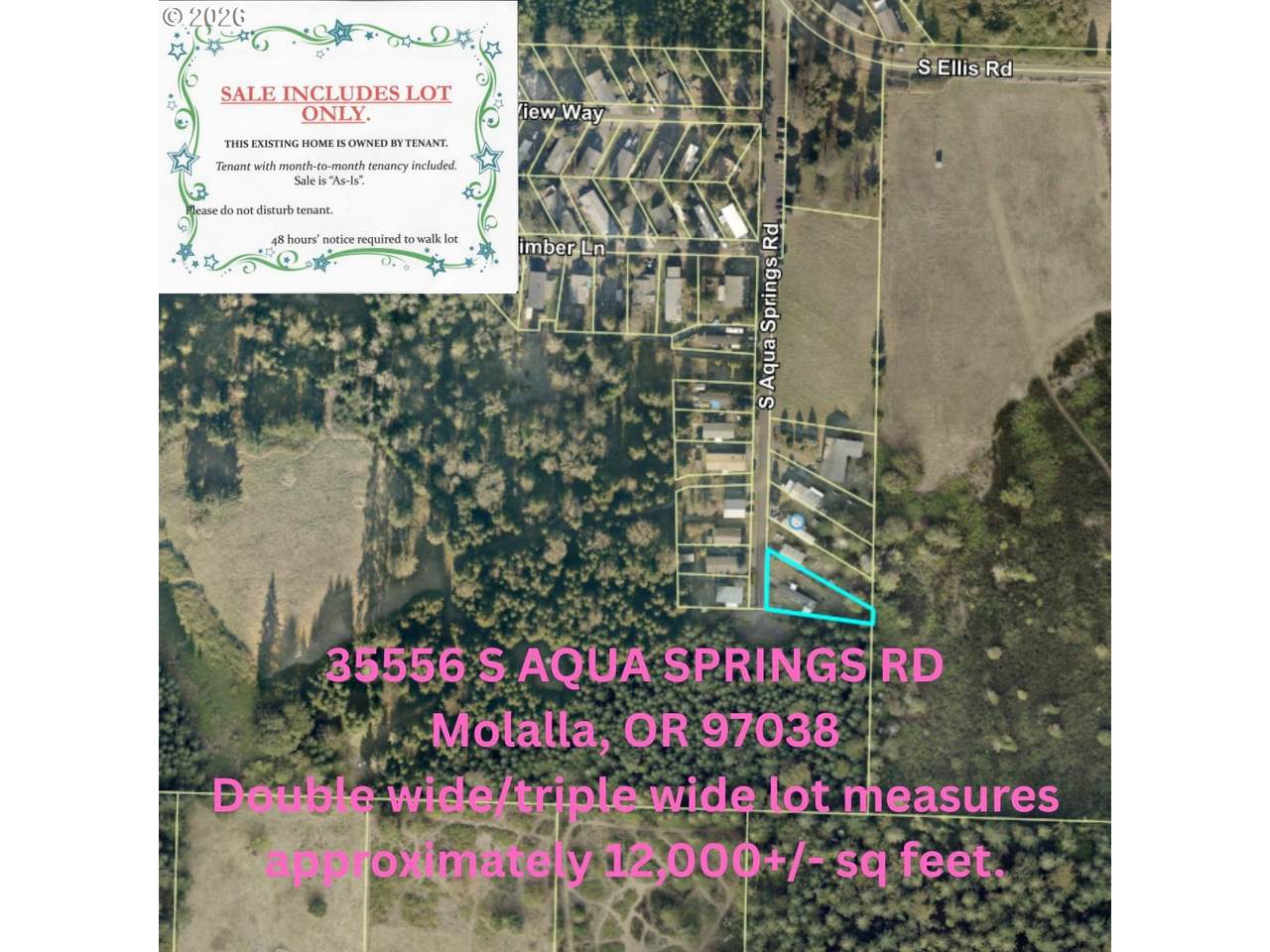 35556 Aqua Springs Rd - Photo 1
