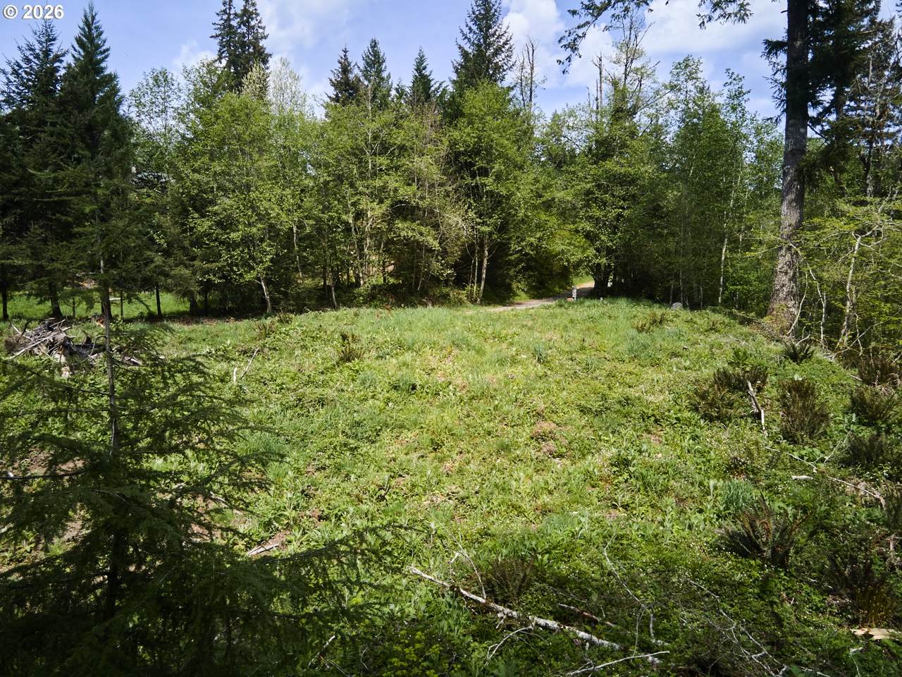 https://bt-photos.global.ssl.fastly.net/portland/1280_boomver_2_672039073-2.jpg