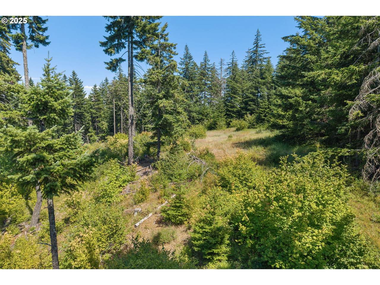 15 Brookside Dr - Photo 1