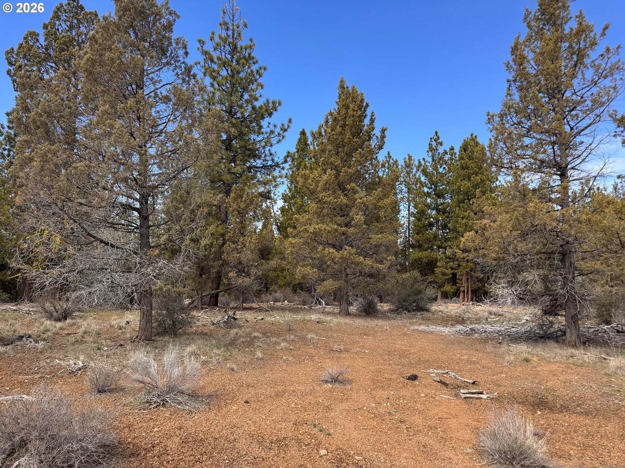  Bliss Rd - Photo 1