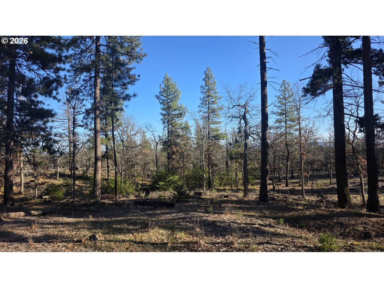  Lot 119 - Photo 1