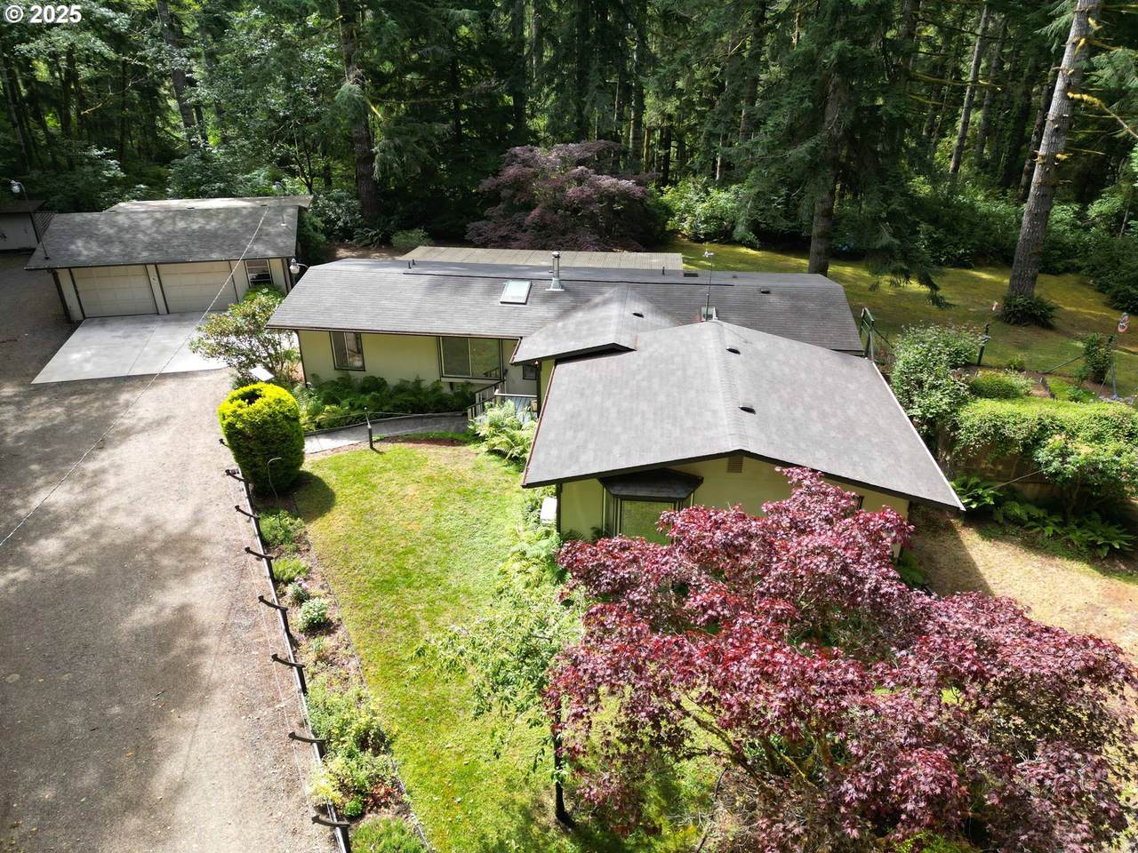 89911 Ben Bunch Rd - Photo 1