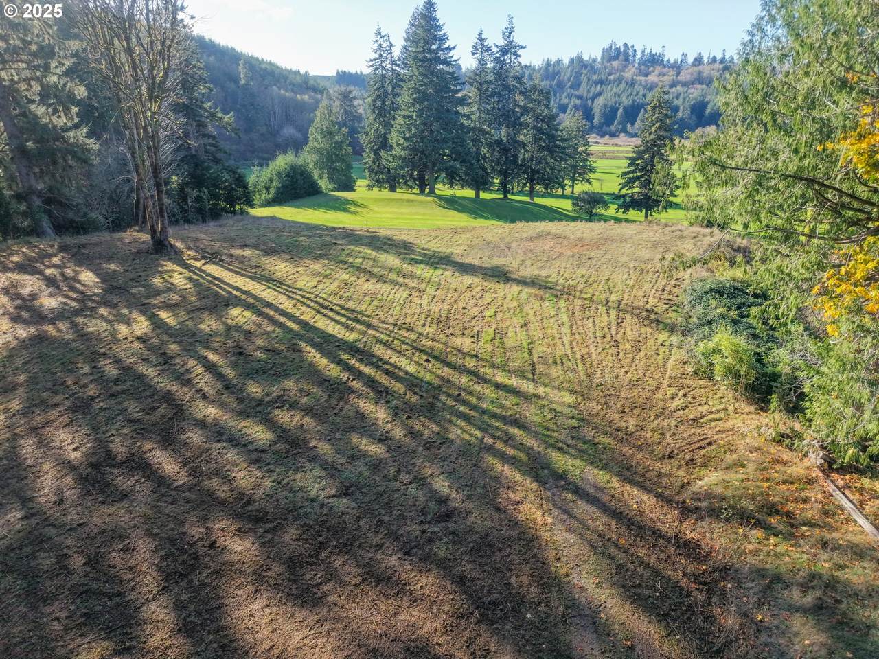 https://bt-photos.global.ssl.fastly.net/portland/1280_boomver_2_712777867-2.jpg