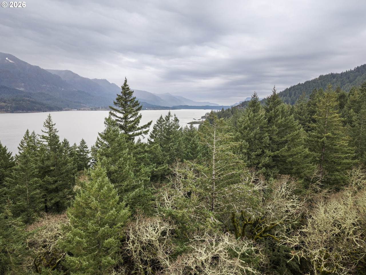 https://bt-photos.global.ssl.fastly.net/portland/1280_boomver_2_714453131-2.jpg