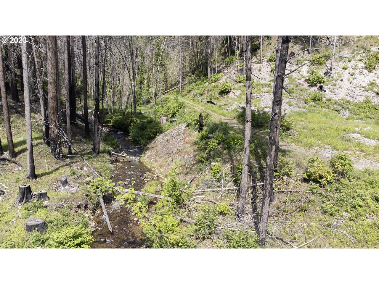 https://bt-photos.global.ssl.fastly.net/portland/1280_boomver_2_717945317-2.jpg