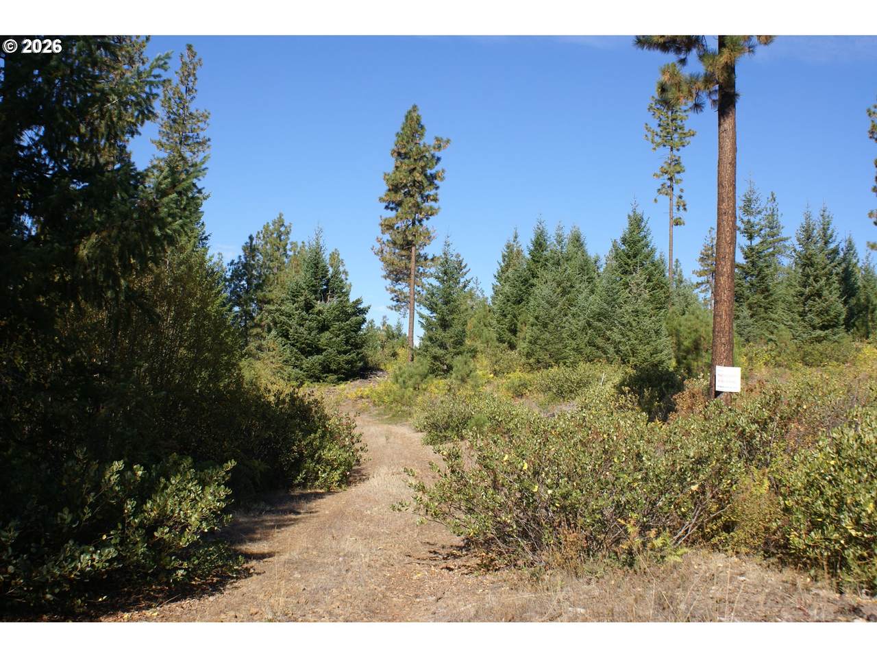 https://bt-photos.global.ssl.fastly.net/portland/1280_boomver_2_722781801-3.jpg