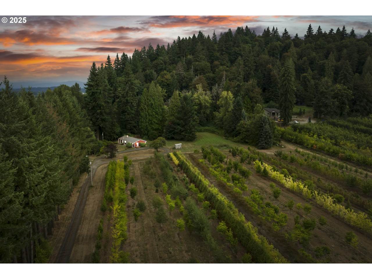 29630 Wheeler Rd - Photo 1