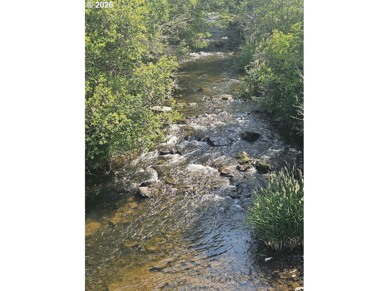  Olson Rd - Photo 1