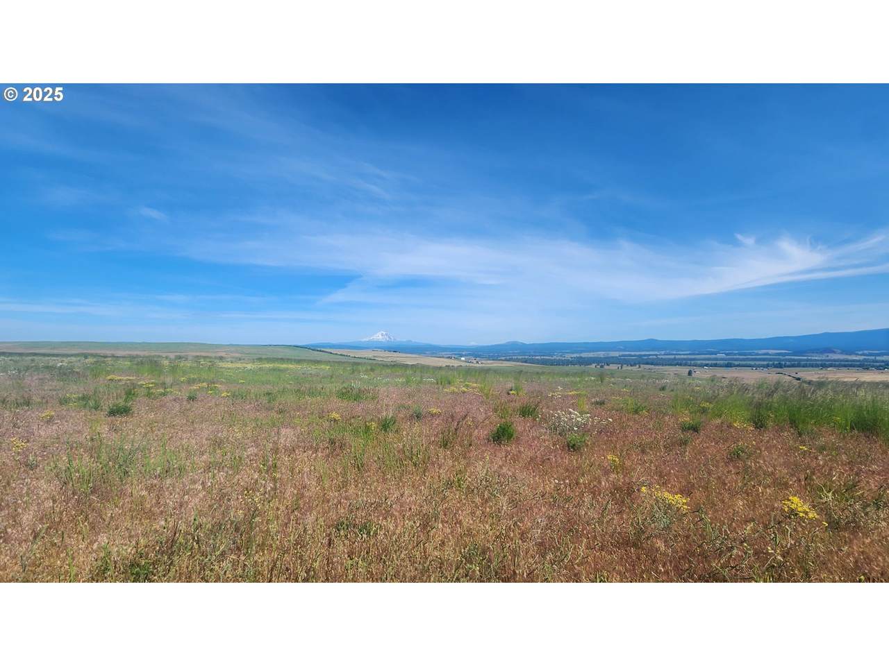  Nka Shull Ranch Rd - Photo 1