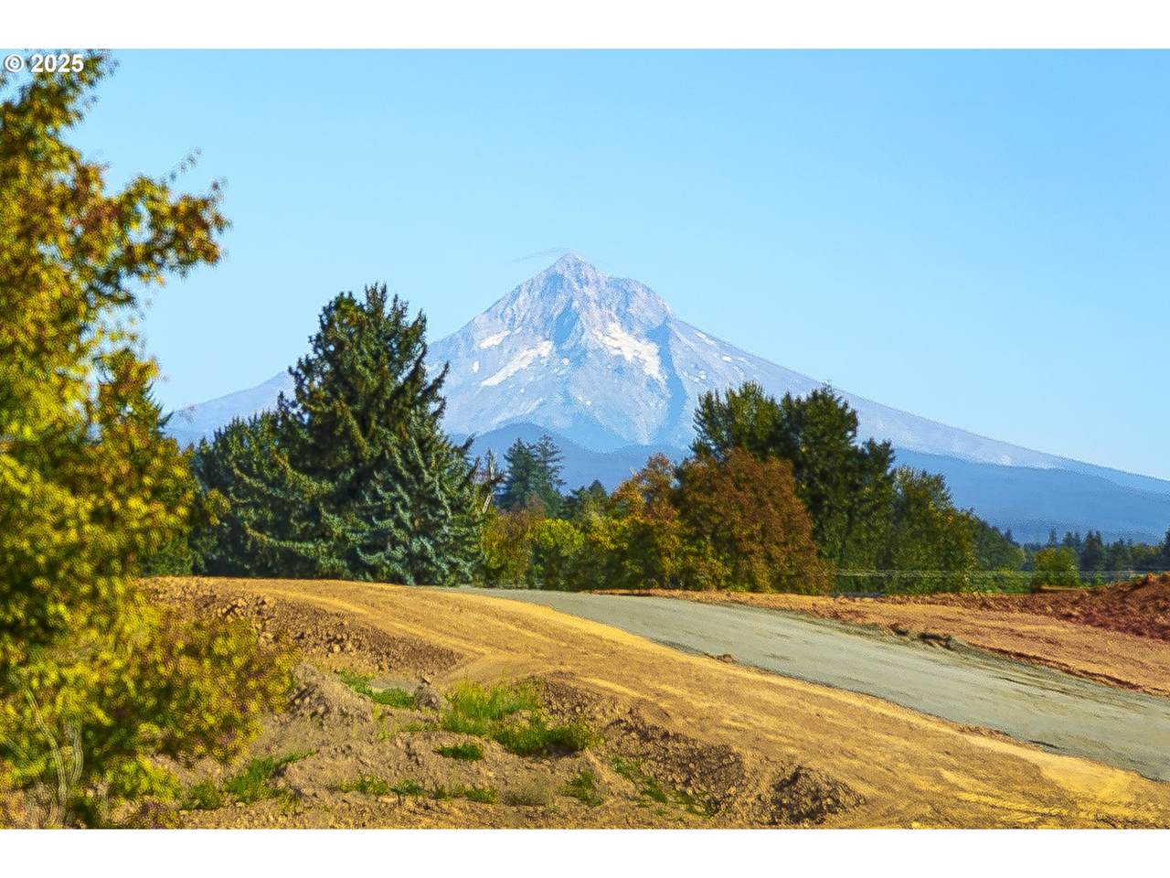 https://bt-photos.global.ssl.fastly.net/portland/1280_boomver_2_782260951-2.jpg