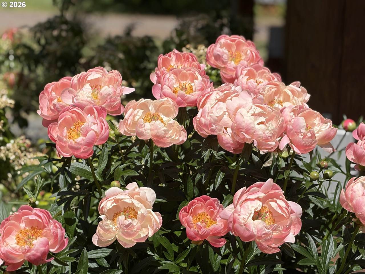 https://bt-photos.global.ssl.fastly.net/portland/1280_boomver_2_112462664-2.jpg