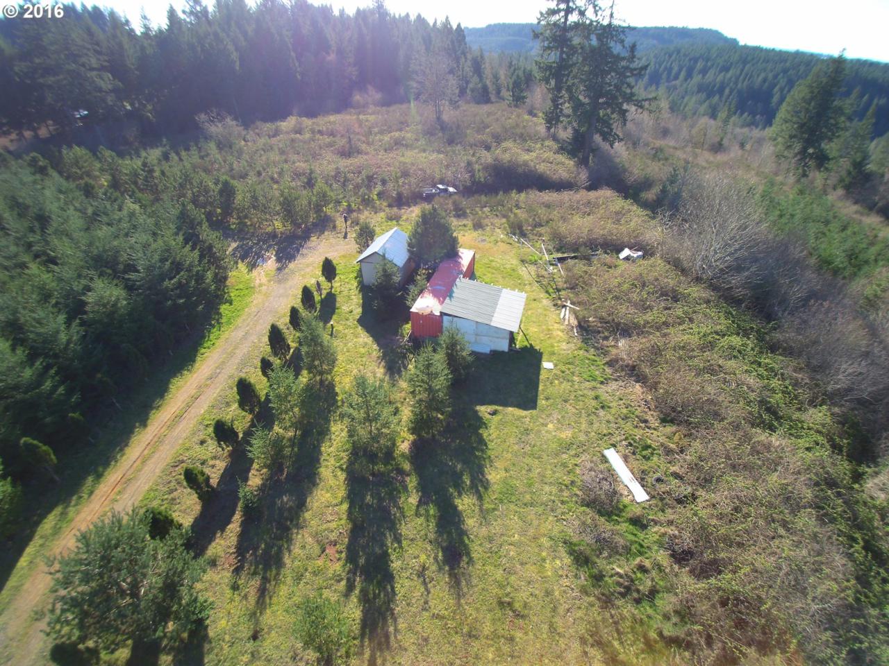 19925 Mosier Rd - Photo 1