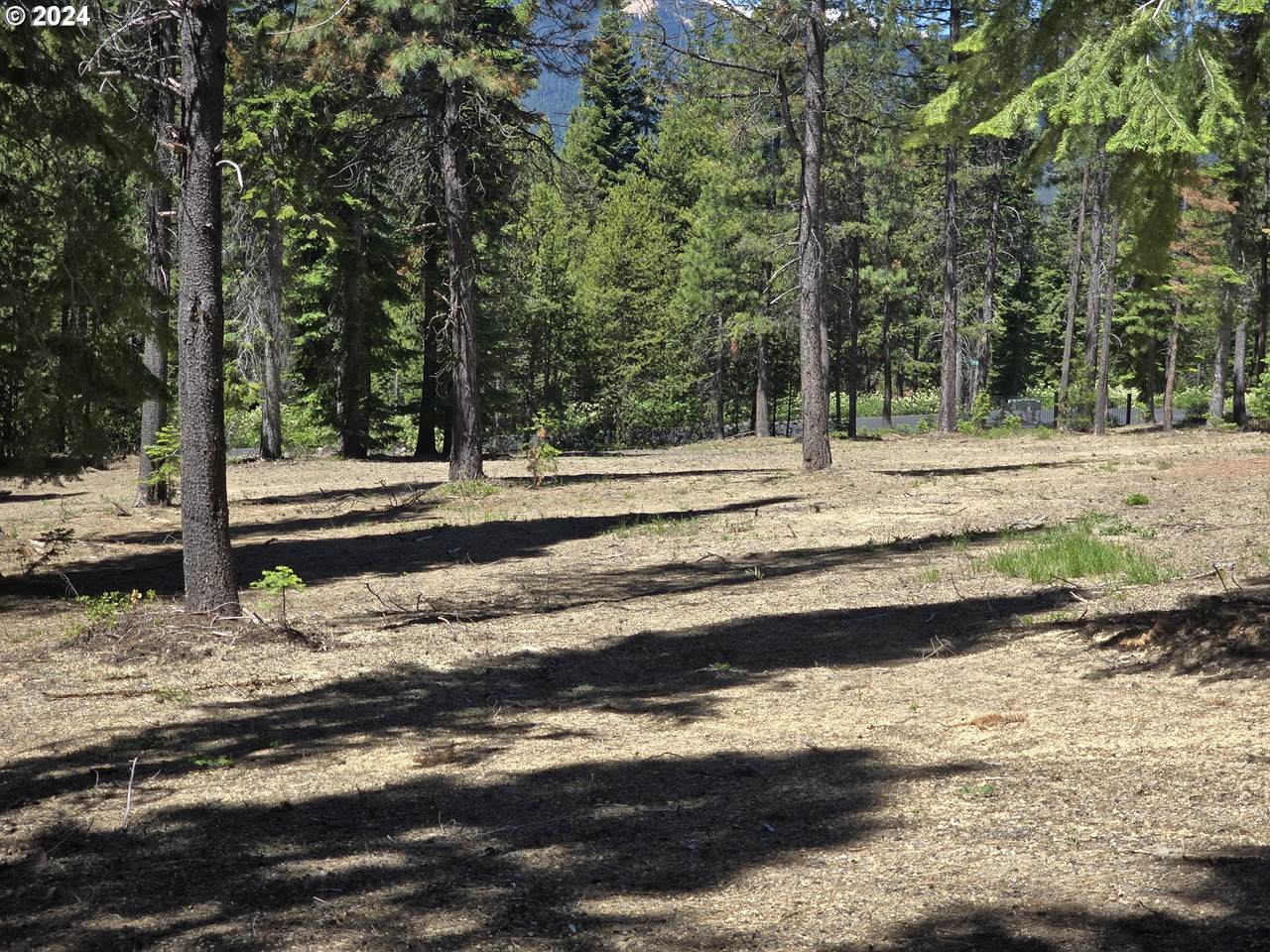 19 Elk Haven - Photo 1