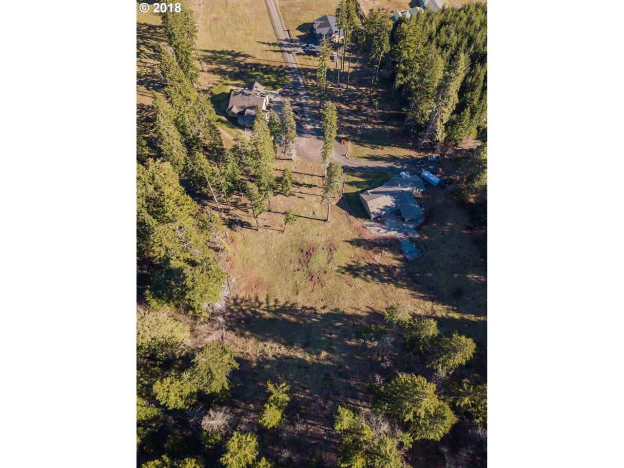 4144 Nastasi Dr - Photo 1