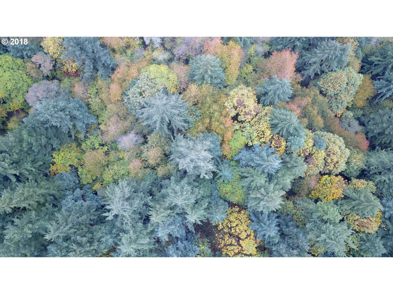 0 Hillsboro Hwy - Photo 1