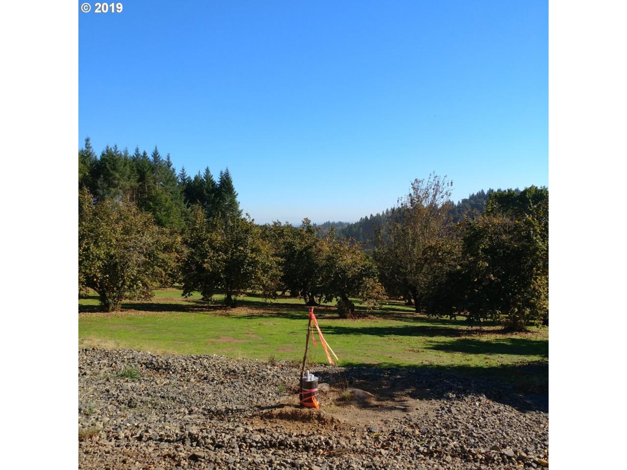 17942 Walnut Hill Rd - Photo 1