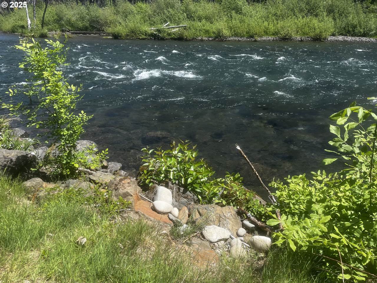 52984 Mckenzie Hwy - Photo 1