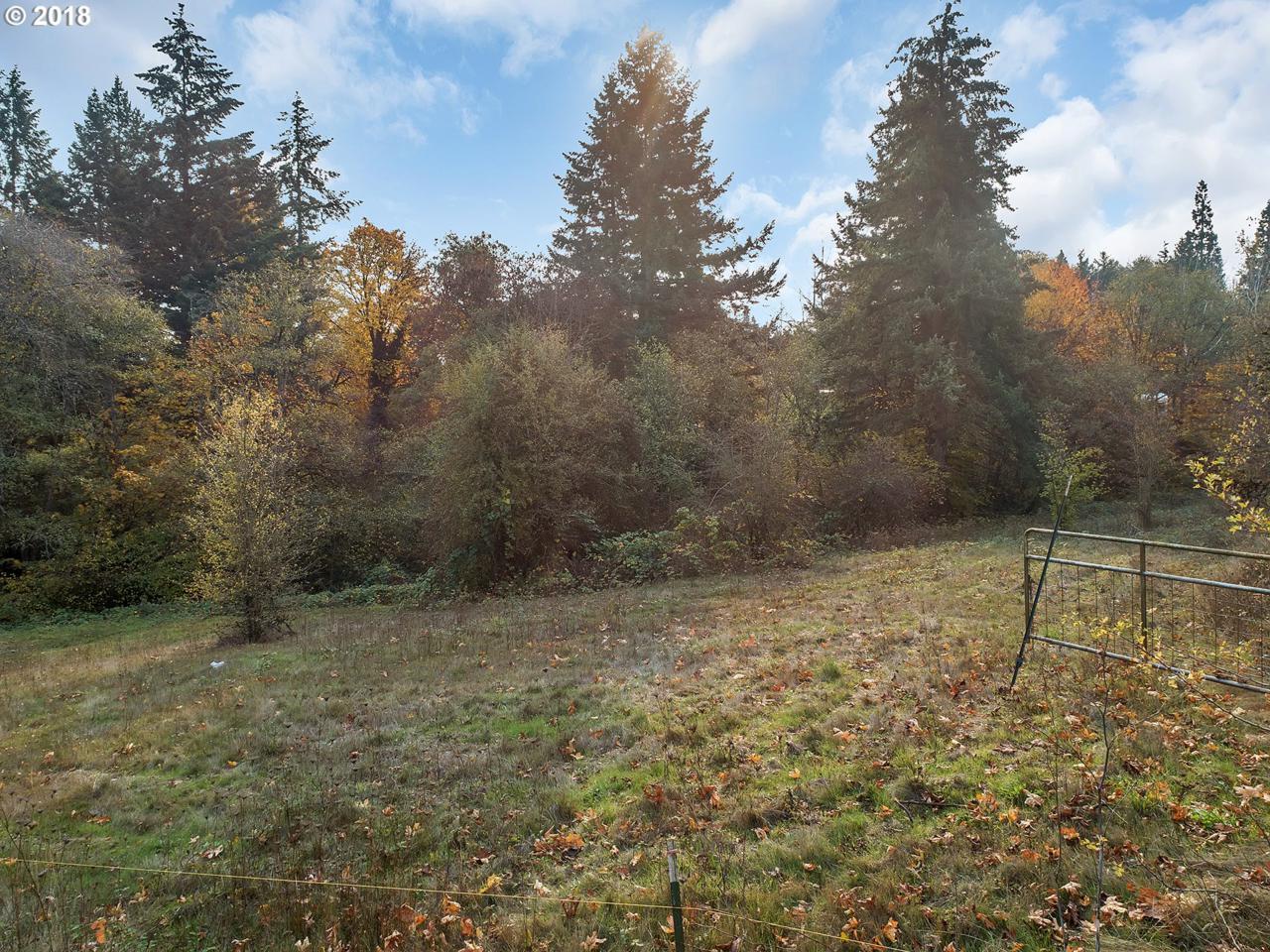 0 82nd Ave - Photo 1