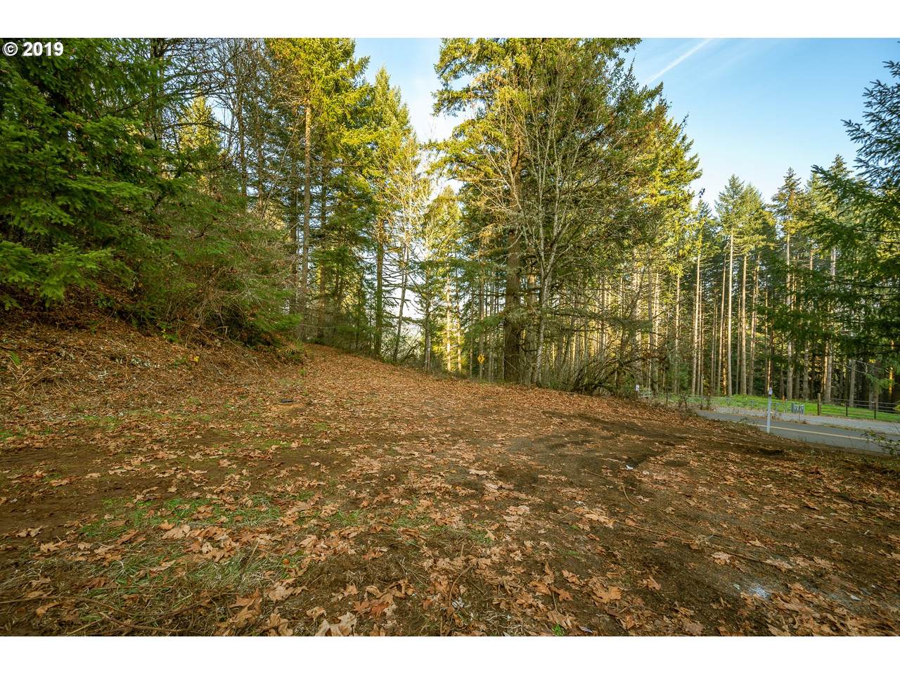15575 Orchard View Rd - Photo 1