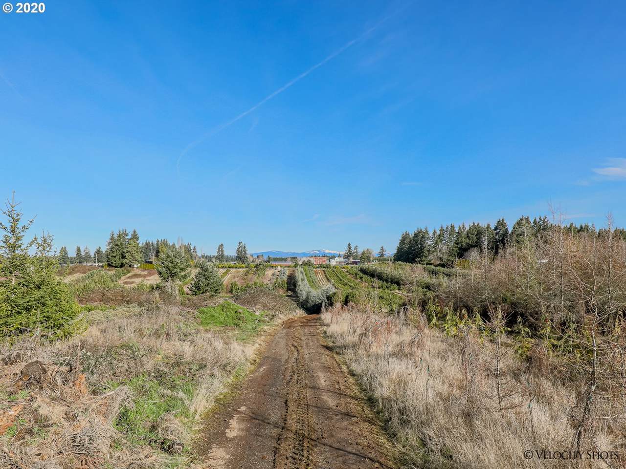 37190 Dunn Rd - Photo 1