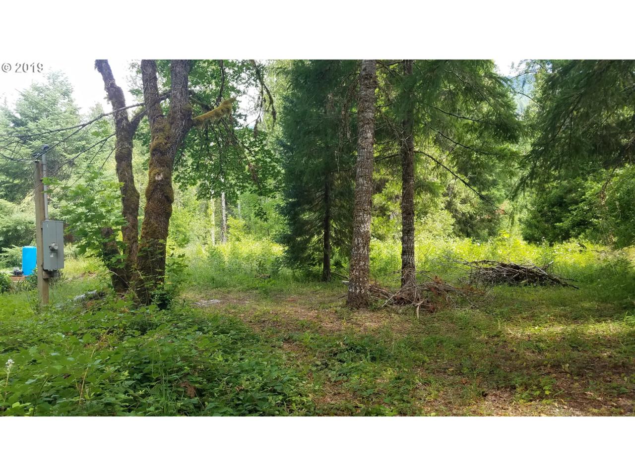 91987 Taylor Rd - Photo 1