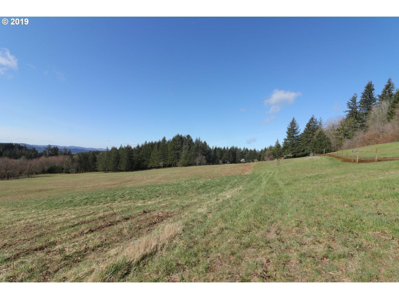 2508 377th Ave - Photo 1