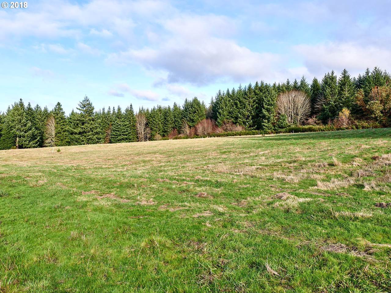15931 Forest Haven Rd - Photo 1