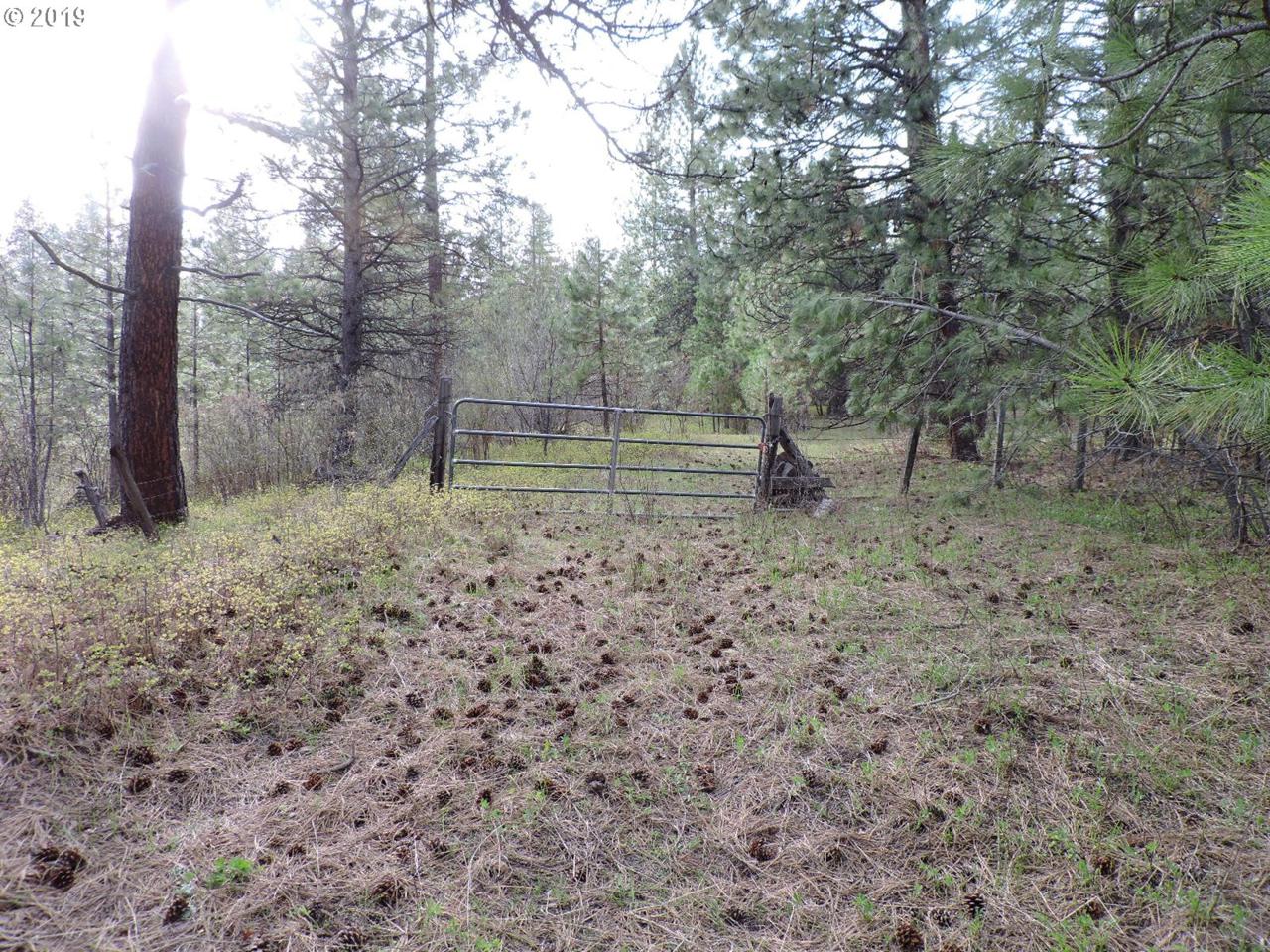 0 Palmer Junction - Photo 1