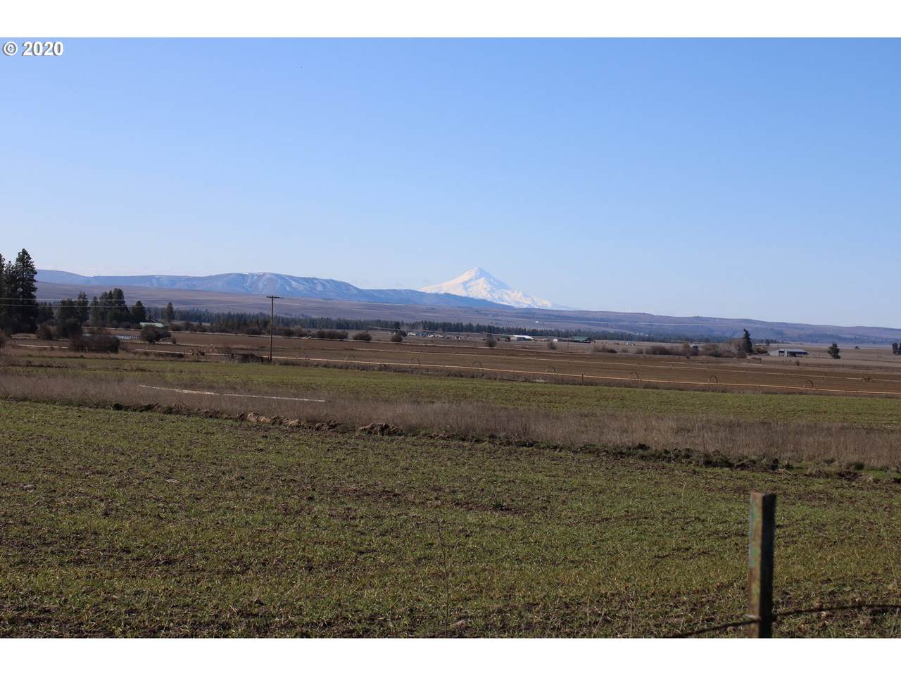 Spring Creek Road - Photo 1