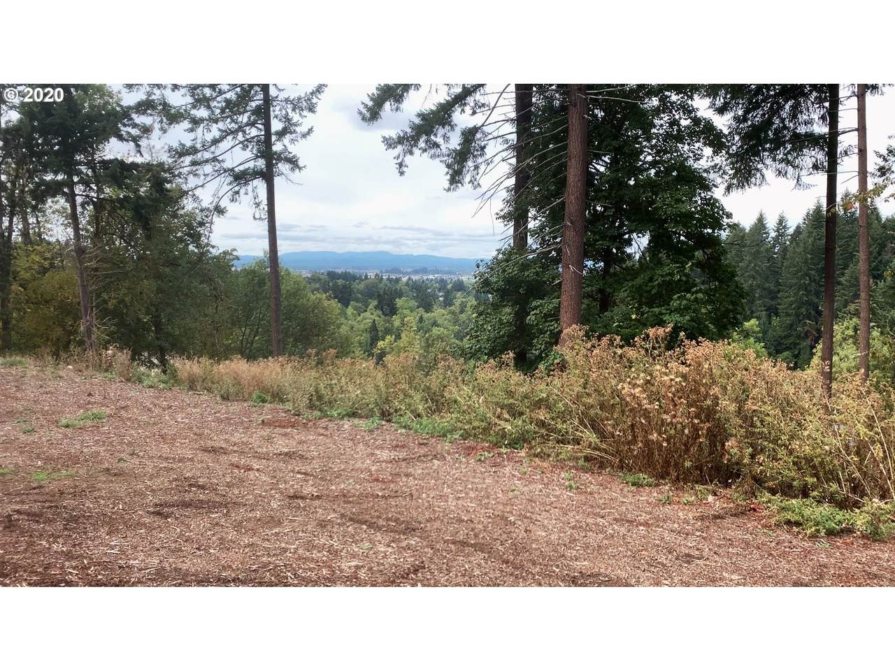 Mountain Ash Blvd - Photo 1