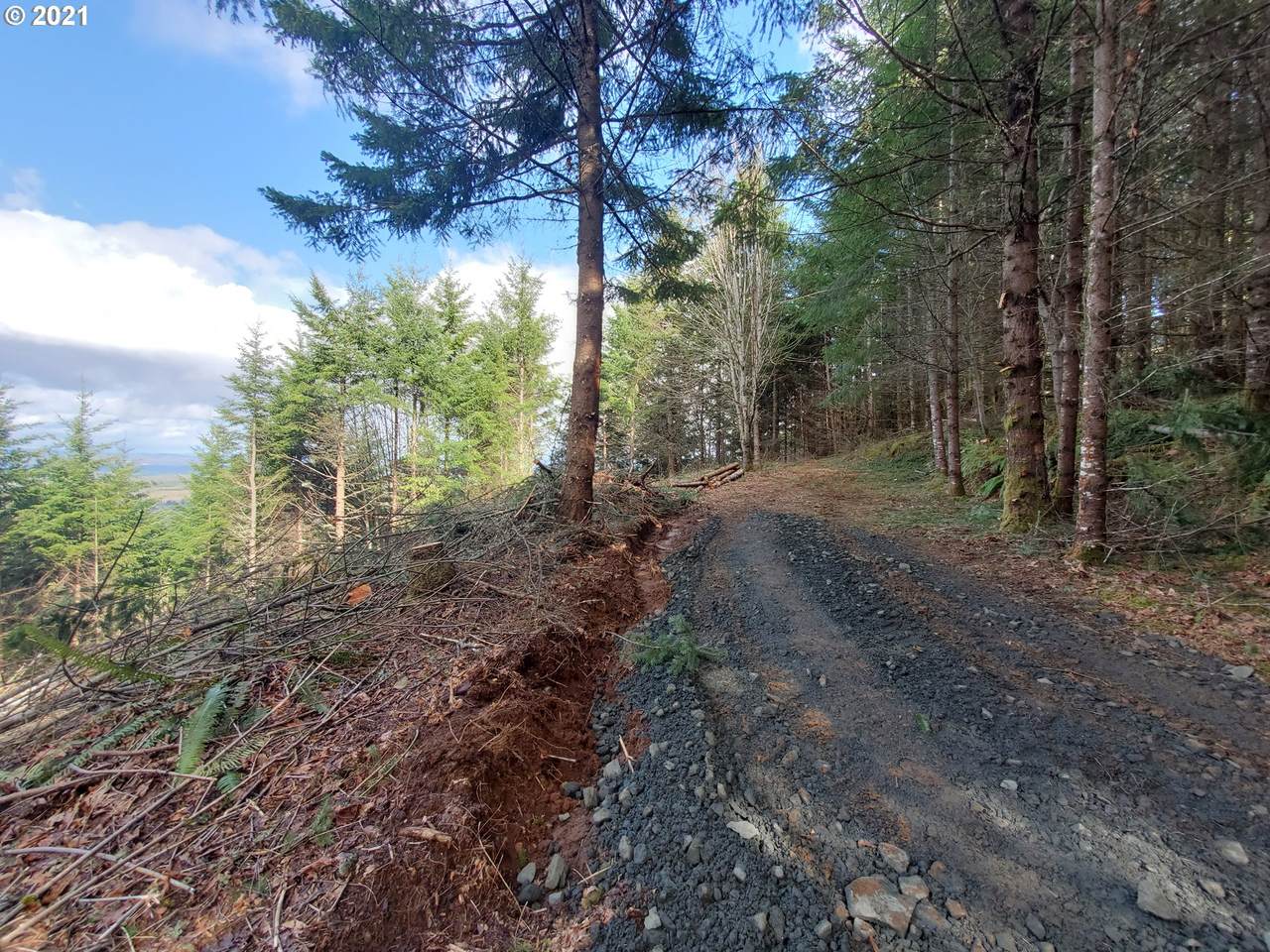 0 Reuben Boise Rd - Photo 1