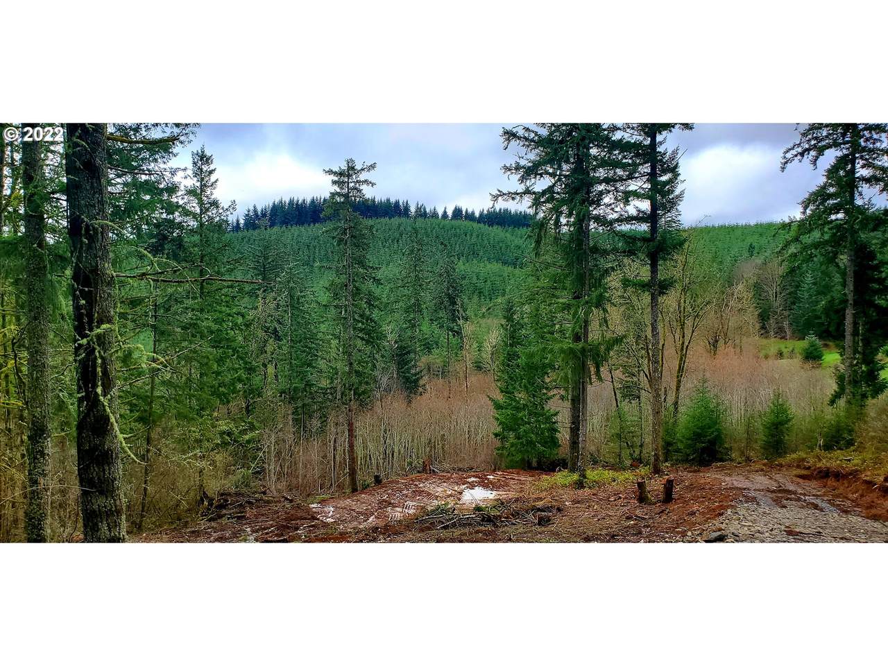 Viewcrest Dr - Photo 1